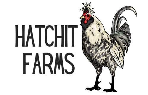 275227179_510697974018320_4275172287841832843_n