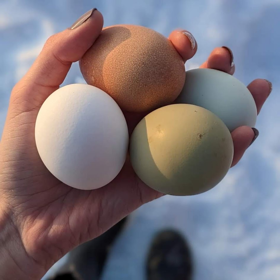 FB_IMG_1675027685753